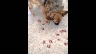 Self Control, Level: Expert