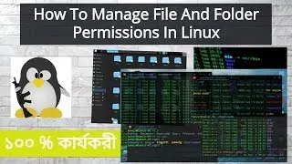 How To Manage File And Folder Permissions In Linux
