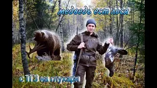 Медведь съел лося - с ТG3 на глухаря