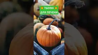 Мало кто знает❗️ В чем польза ТЫКВЫ 🎃  для ПЕЧЕНИ❓ Полезные свойства