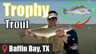 Fishing for BIG Speckled Trout with Live Croaker | Baffin Bay, Texas