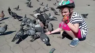 Ева и голуби 25.05.24