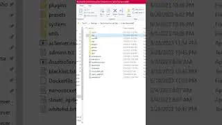 Assetto Server - Cannot Write Packets to TCP Packet Queue 