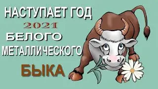 Год быка Наступает 2021 - год белого металлического Быка