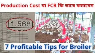 Production Cost বা FCR কি ভাবে কমাবেন | Agriculture Tour