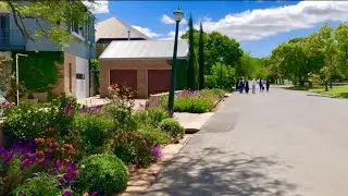 Rich Stellenbosch Neighbourhood with SciMathUS Class of 2023 (Phoenix Section House Hunt)