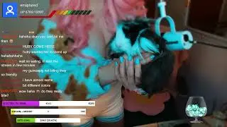 These sweet creatures do really bite💜 | #lucyya on #Twitch