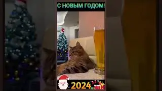 ТВОЙ СОБУТЫЛЬНИК НА НГ 