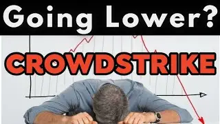 Crowdstrike stock Analysis! Generational Buying Opportunity?