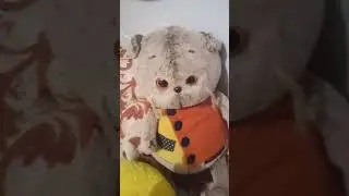игра в прятки🥳💯