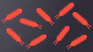 Fighting Antibiotic Resistance With Whole Genome Sequencing