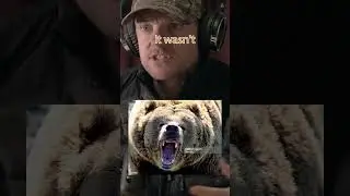 Two wrestlers fight off mama grizzly bear