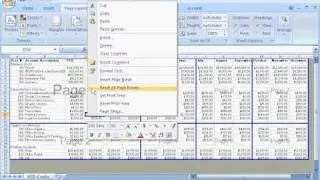 Excel 2007: Adjust page breaks to control what is printed on each page