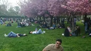 Нью Йорк.. Бруклин. Botanic Garden. April 20, 2024