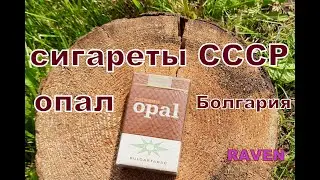 СИГАРЕТЫ СССР ОПАЛ БОЛГАРИЯ