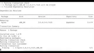 how to remove nginx linux
