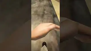 НИКОГДА НЕ ВЯЖИТЕ БОМЖЕЙ НА АРИЗОНА РП 