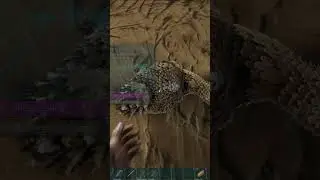 How To Tame A Dodo In Ark Survival Evolved 