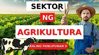 SEKTOR NG AGRIKULTURA/ GRADE 9 ARALING PANLIPUNAN (EKONOMIKS) // amethy