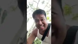 Bungga ng Malunggay, alam mo bang kinakain ito?! #malunggay #kuyaeee #buhayprobinsya