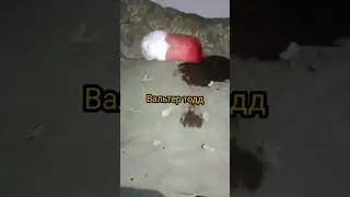 командование всу усраины отказывает в эвакуации раненых призывая воевать с русскими до конца
