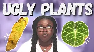 4 Plants On the Struggle Bus🚌🥴🌱