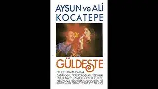 Aysun Kocatepe - Ay Buluta Girdiği Gecelerde (1986)