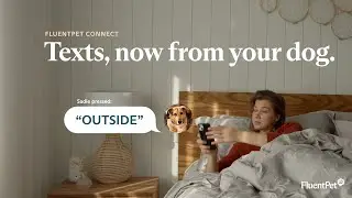 FluentPet Connect - Get texts from your talking dog or talking cat!