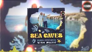 ДИДЮЛЯ & СЕРГЕЙ СИРОТИН – SEA CAVES (Sion Muzic REMIX)