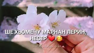 Мар-нан❤свекровь.. декъал йо. ОЗВУЧКА