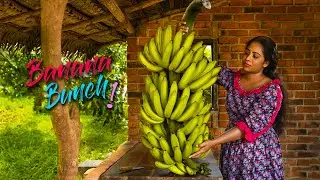 How delicious the Plantain Sweets are, one could say no sugar needed for the tea | Traditional Me