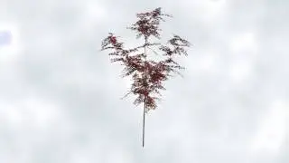 Animated tree generated with Space Tree Pro