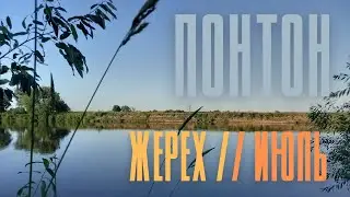 За жерехом на понтон. Рыбалка в июле