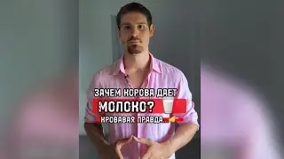 ЗАЧЕМ КОРОВА ДАЕТ МОЛОКО! КРОВАВАЯ ПРАВДА❗️❗️❗️