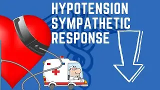 Hypotension - Sympathetic Response