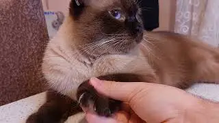 nail review