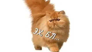 ЭХХХ...