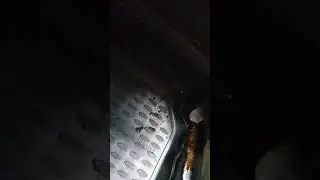 капает вода с нижней рамки стекла Мазда 6