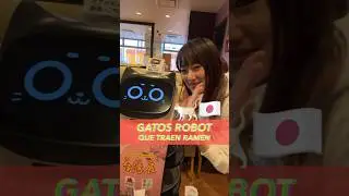 Cuando los gatos y la tecnología japonesa se mezclan 🤣 | #japon #Japón #nekojitablog