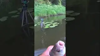 МОРМЫШКА В ШАХТЕ.