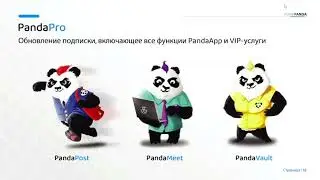 PunkPanda  Презентация мессенджера  БЕЗ ВЛОЖЕНИЙ