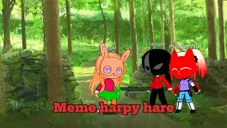 meme harpy hare