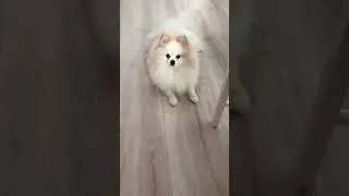 Опять вредничает 