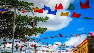 BAILE DE VERÃO - Rita Melo