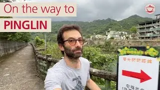 Pinglin: A Tea Lover's Paradise