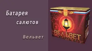 Студия НСК - Салют Вельвет СЛ628024