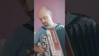 Песня "Седая ночь" на баяне