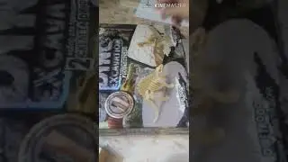 Раскопки динозавров