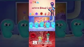Magical Human Immune System: How do White Blood Cells Fight against Viruses | Kids Cartoon