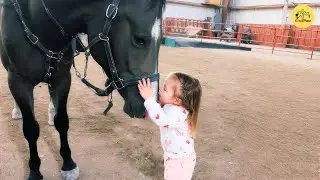 This Toddler Found Her Soulmate in a 1,000-Pound Horse